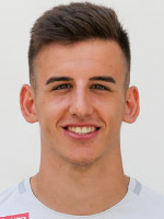 Mirko Kos
