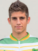 Nicolas Stefanelli