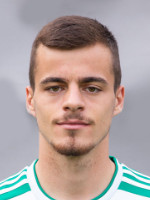 Dragoljub Savic
