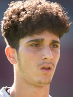 Emrehan Gedikli