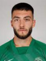Dimitar Mitkov