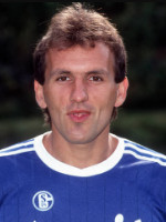 Radmilo Mihajlovic