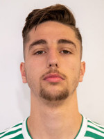 Dalibor Velimirovic