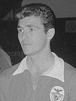 Jose Aguas