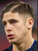 Nemanja Motika