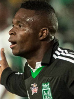 Aviles Hurtado