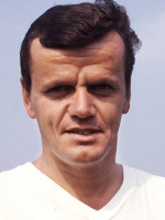 Theo Hoffmann