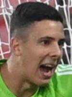 Lorenzo Palmisani