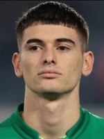 Luca Lipani