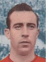Pepillo